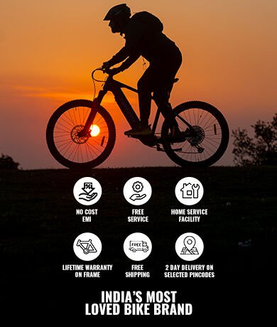 Flin fox cycle best sale